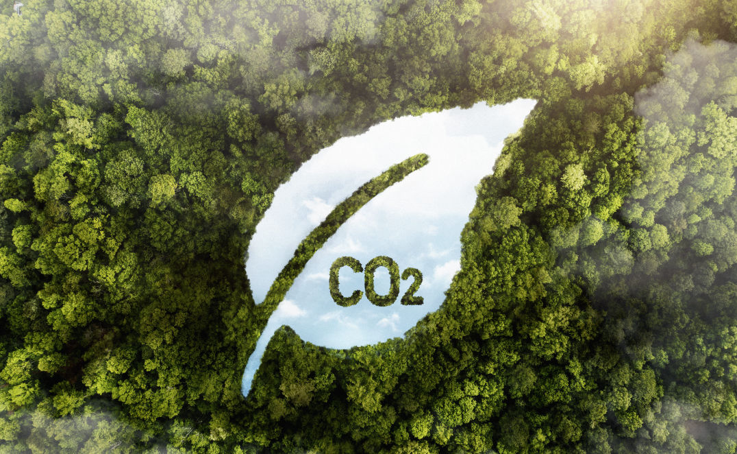 Carbon Cycle, CO2 waste, affect climate change